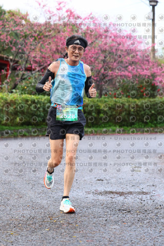 2026左岸竹東櫻花馬拉松Zhudong Sakura Marathon