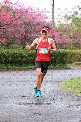 2026左岸竹東櫻花馬拉松Zhudong Sakura Marathon