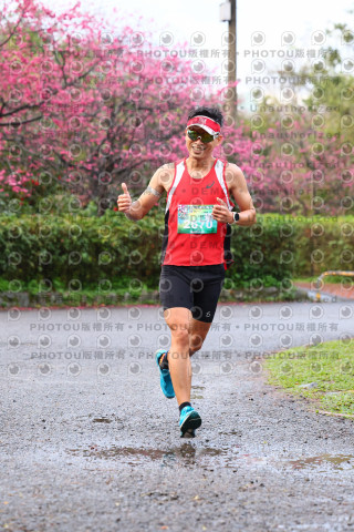 2026左岸竹東櫻花馬拉松Zhudong Sakura Marathon