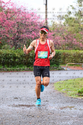 2026左岸竹東櫻花馬拉松Zhudong Sakura Marathon
