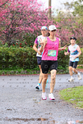 2026左岸竹東櫻花馬拉松Zhudong Sakura Marathon