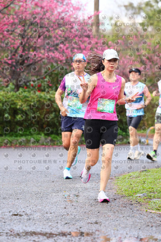 2026左岸竹東櫻花馬拉松Zhudong Sakura Marathon