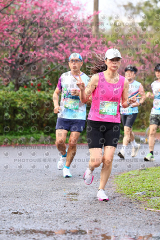 2026左岸竹東櫻花馬拉松Zhudong Sakura Marathon