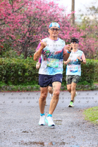 2026左岸竹東櫻花馬拉松Zhudong Sakura Marathon