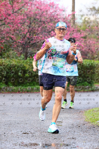 2026左岸竹東櫻花馬拉松Zhudong Sakura Marathon