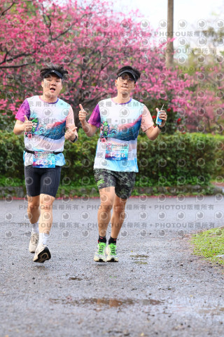 2026左岸竹東櫻花馬拉松Zhudong Sakura Marathon