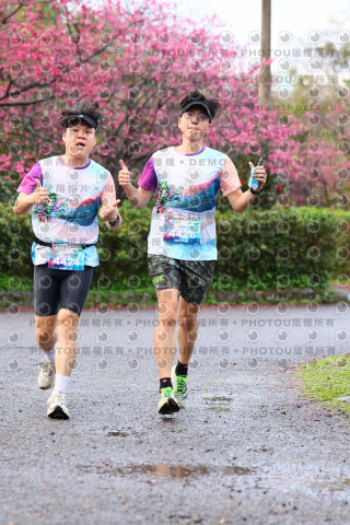2026左岸竹東櫻花馬拉松Zhudong Sakura Marathon