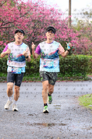 2026左岸竹東櫻花馬拉松Zhudong Sakura Marathon