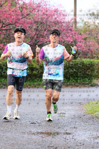 2026左岸竹東櫻花馬拉松Zhudong Sakura Marathon