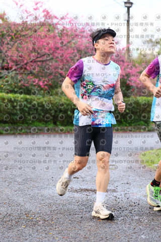 2026左岸竹東櫻花馬拉松Zhudong Sakura Marathon