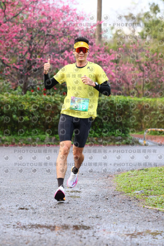 2026左岸竹東櫻花馬拉松Zhudong Sakura Marathon