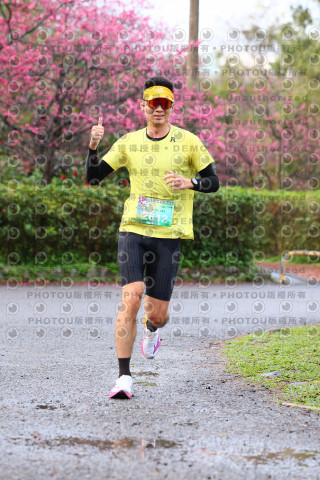 2026左岸竹東櫻花馬拉松Zhudong Sakura Marathon