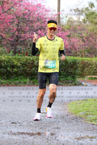 2026左岸竹東櫻花馬拉松Zhudong Sakura Marathon