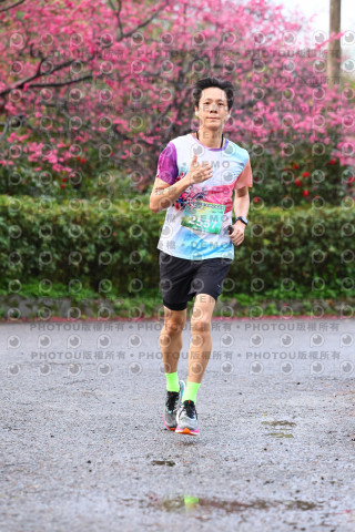 2026左岸竹東櫻花馬拉松Zhudong Sakura Marathon