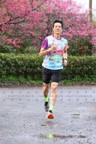 2026左岸竹東櫻花馬拉松Zhudong Sakura Marathon
