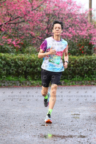 2026左岸竹東櫻花馬拉松Zhudong Sakura Marathon