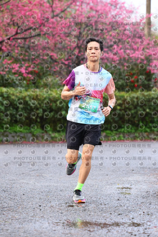 2026左岸竹東櫻花馬拉松Zhudong Sakura Marathon