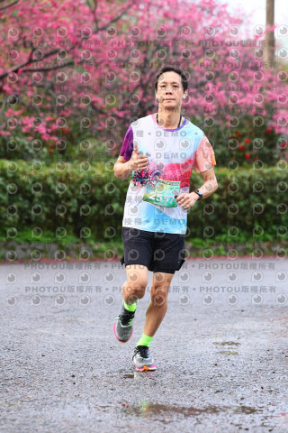 2026左岸竹東櫻花馬拉松Zhudong Sakura Marathon