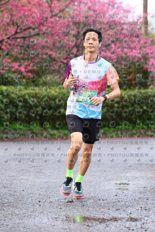2026左岸竹東櫻花馬拉松Zhudong Sakura Marathon