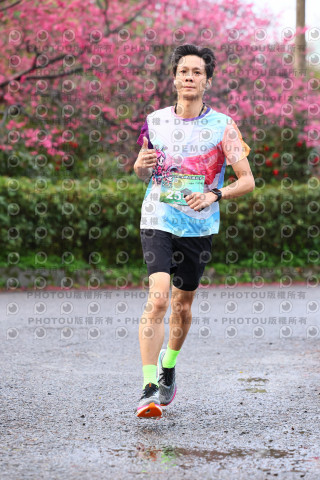 2026左岸竹東櫻花馬拉松Zhudong Sakura Marathon