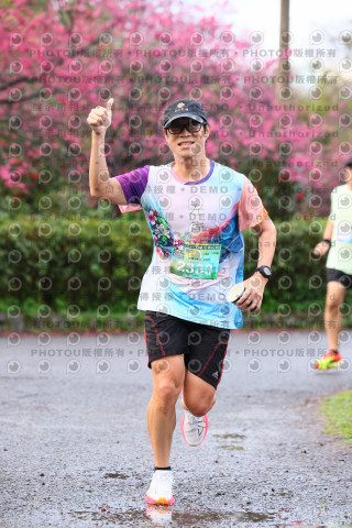 2026左岸竹東櫻花馬拉松Zhudong Sakura Marathon