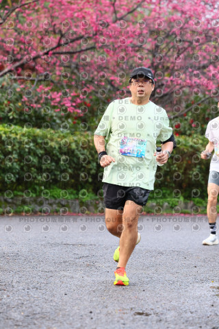 2026左岸竹東櫻花馬拉松Zhudong Sakura Marathon
