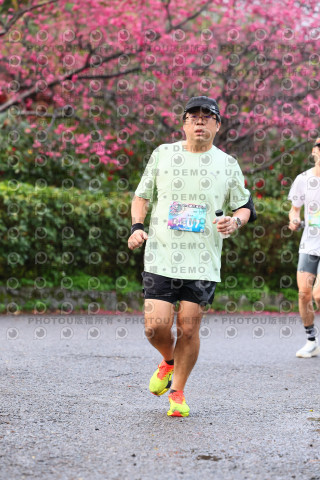 2026左岸竹東櫻花馬拉松Zhudong Sakura Marathon