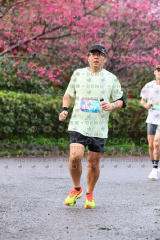 2026左岸竹東櫻花馬拉松Zhudong Sakura Marathon