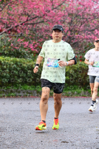 2026左岸竹東櫻花馬拉松Zhudong Sakura Marathon