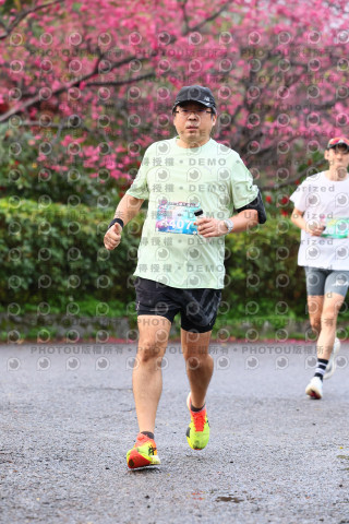 2026左岸竹東櫻花馬拉松Zhudong Sakura Marathon