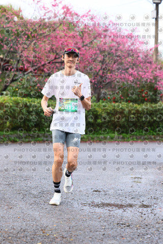 2026左岸竹東櫻花馬拉松Zhudong Sakura Marathon