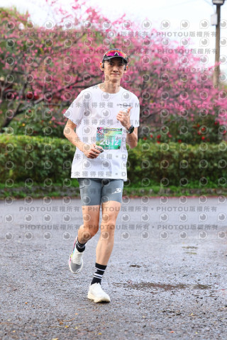 2026左岸竹東櫻花馬拉松Zhudong Sakura Marathon