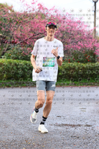 2026左岸竹東櫻花馬拉松Zhudong Sakura Marathon