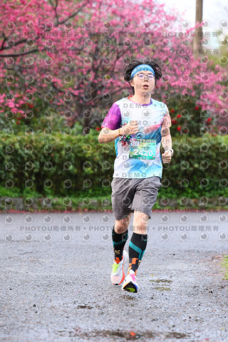2026左岸竹東櫻花馬拉松Zhudong Sakura Marathon