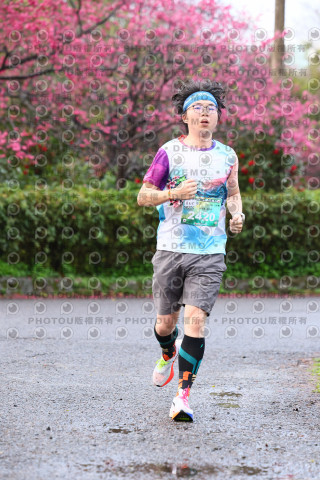 2026左岸竹東櫻花馬拉松Zhudong Sakura Marathon