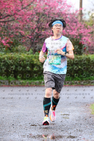 2026左岸竹東櫻花馬拉松Zhudong Sakura Marathon