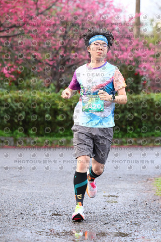 2026左岸竹東櫻花馬拉松Zhudong Sakura Marathon