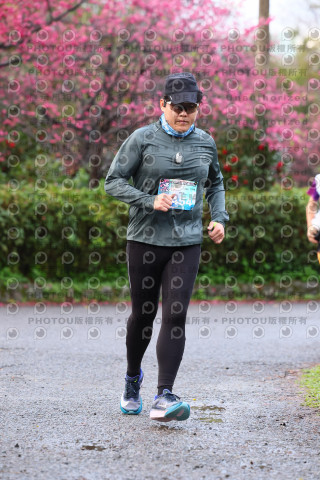 2026左岸竹東櫻花馬拉松Zhudong Sakura Marathon