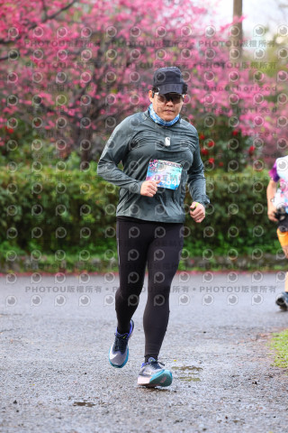 2026左岸竹東櫻花馬拉松Zhudong Sakura Marathon