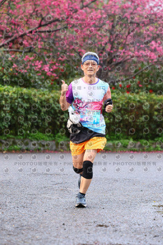 2026左岸竹東櫻花馬拉松Zhudong Sakura Marathon