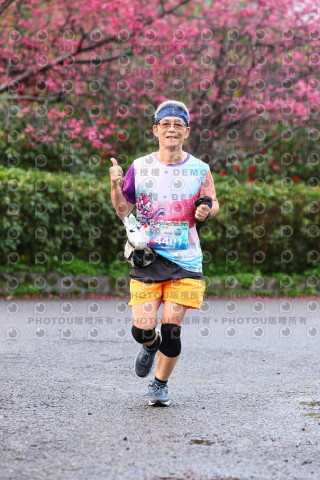 2026左岸竹東櫻花馬拉松Zhudong Sakura Marathon