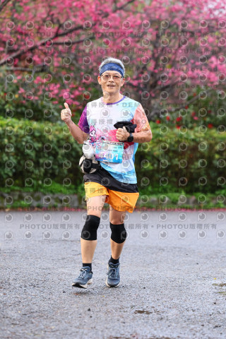 2026左岸竹東櫻花馬拉松Zhudong Sakura Marathon