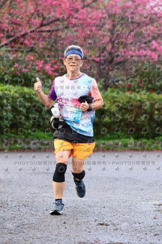 2026左岸竹東櫻花馬拉松Zhudong Sakura Marathon