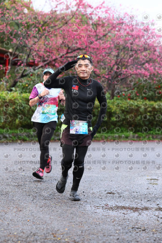 2026左岸竹東櫻花馬拉松Zhudong Sakura Marathon