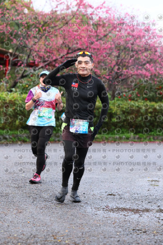2026左岸竹東櫻花馬拉松Zhudong Sakura Marathon
