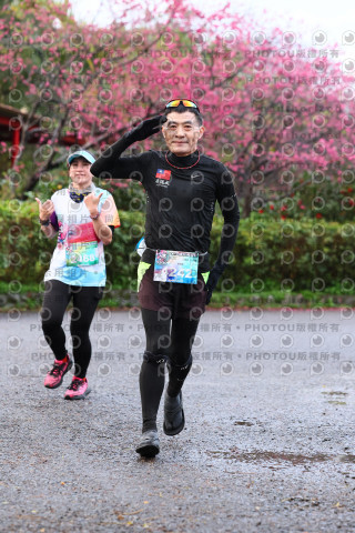 2026左岸竹東櫻花馬拉松Zhudong Sakura Marathon