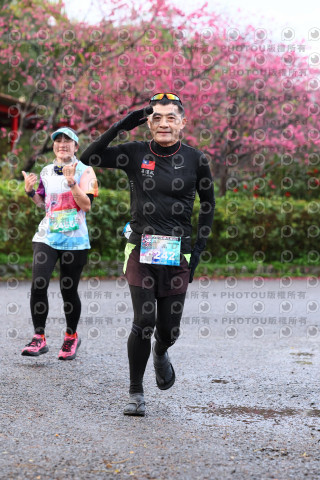 2026左岸竹東櫻花馬拉松Zhudong Sakura Marathon