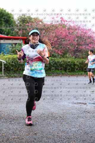 2026左岸竹東櫻花馬拉松Zhudong Sakura Marathon