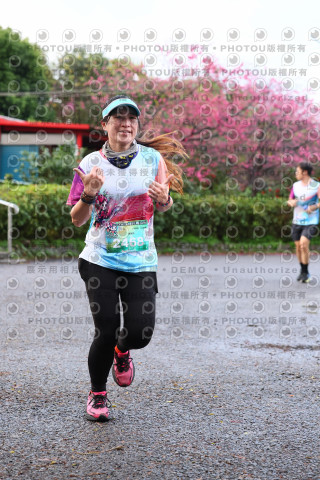 2026左岸竹東櫻花馬拉松Zhudong Sakura Marathon
