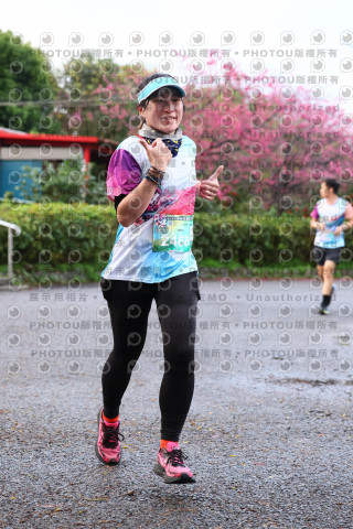 2026左岸竹東櫻花馬拉松Zhudong Sakura Marathon